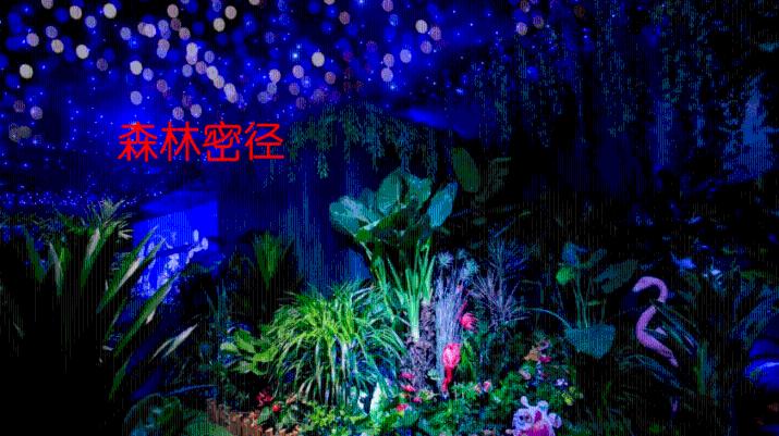 救援墨镜哥